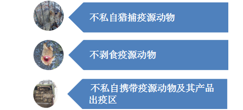 291656467054944858.png 291656467054944858.png